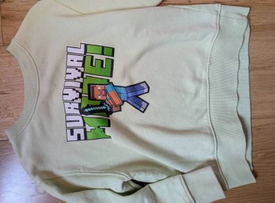 Minecraft sweatshirt