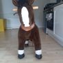 Ponycycle Image 2