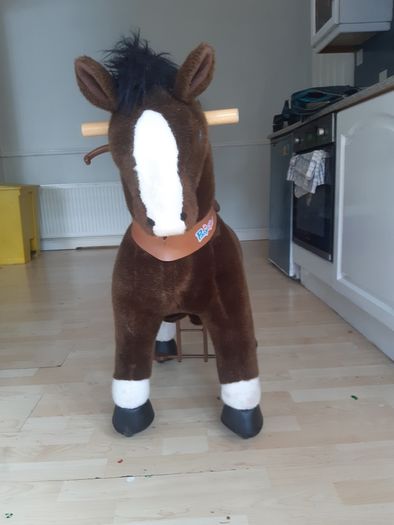 Ponycycle
