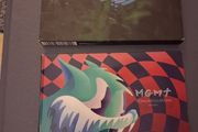 Mgmt X 2 Cd