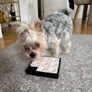 Interactive puzzle toy for dogs or cats Image 2