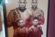 ufc 206 framed poster