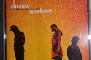 Dream Academy CD - A Different Kind Of Weather