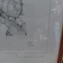 Limited Edition framed 'Tawny Owls' by Elisabeth Luard Image 4