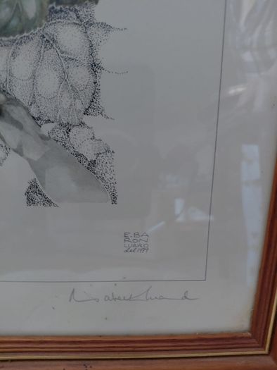 Limited Edition framed 'Tawny Owls' by Elisabeth Luard