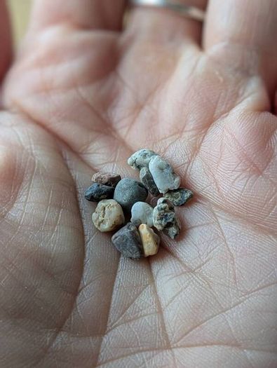 Plant terrarium stones