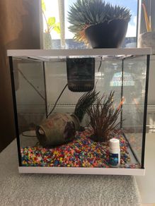 Fish Tank 28L AguaCube LED