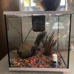Fish Tank 28L AguaCube LED