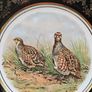 Vintage Arklow Pottery  Gamebird  Plate , Decorative Plate Image 4