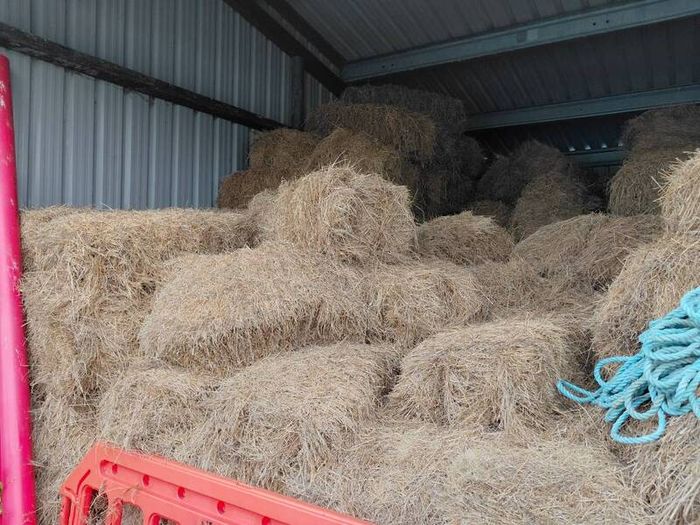 organic hay