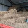 organic hay Image 3