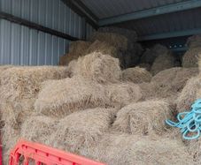 organic hay
