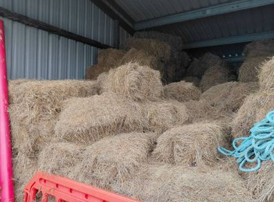 organic hay