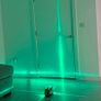 DeWalt DW089LG Green Laser Image 3