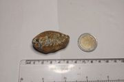 Maligano jasper