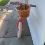 Banwood Balance Bike Image 2