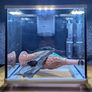 Aquarium Image 6