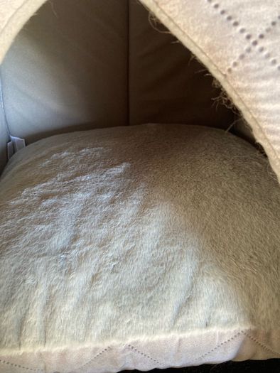 Cat cave