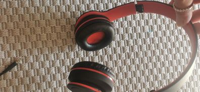Sentry headphones