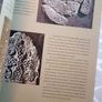 Stories from a Sacred Landscape by Caimin O'Brien Image 10