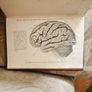 Psychology.  Stonyhurst Philosophical  Series. By Michael Maher, Sj. 1905 Hardback In Good Condition. Image 7