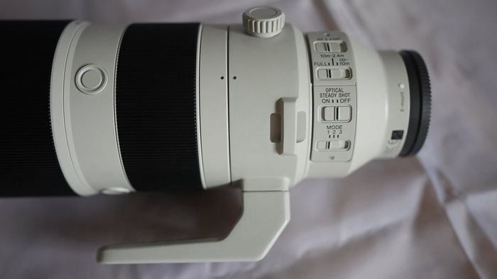 Sony FE 200-600mm f/5.6-6.3 G OSS Lens