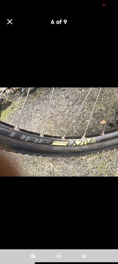 trek bike