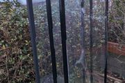 Clear Dividers