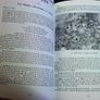 Journal Creggan Local history society Cardinal Tomas O Fiaich memorial issue Image 4