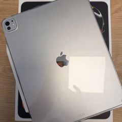 iPad Pro 13 inch 256gb, WiFi and cellular.