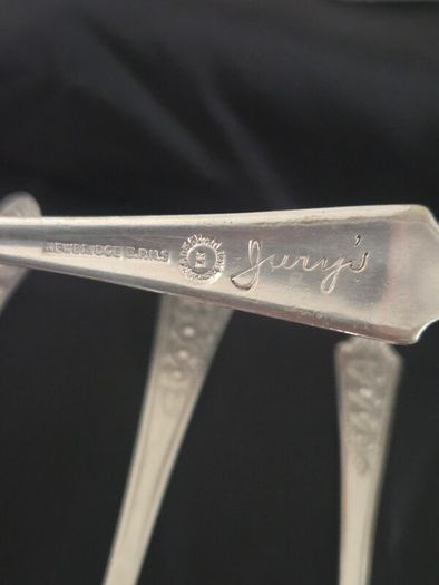 Collection of 11 Vintage Newbridge Silverware Celtic Dragon Design Spoons from Jurys Hotel