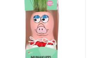 Munakuppi Grow kit and seeds