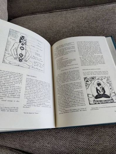 LIFE ARTS A Practical Guide to Total Being New Medicine and Ancient Wisdom by Evelyn de Smedt 1977 hardback in very good condition with some wear to the cover see all photos A4 size book 190 pages and illustrations FREE STANDARD POSTAGE INCLUDED