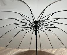 Large White Umbrella