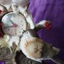Vintage collectable clock Image 4