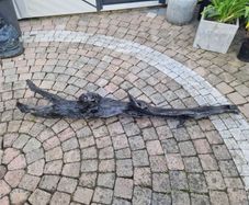 bog oak