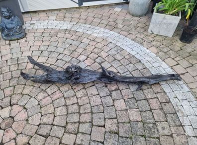 bog oak