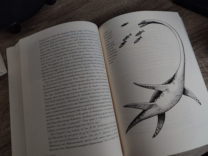 Sea Dragons: Predators of the Prehistoric Oceans ! 2003 ! by University Press of Kansas !