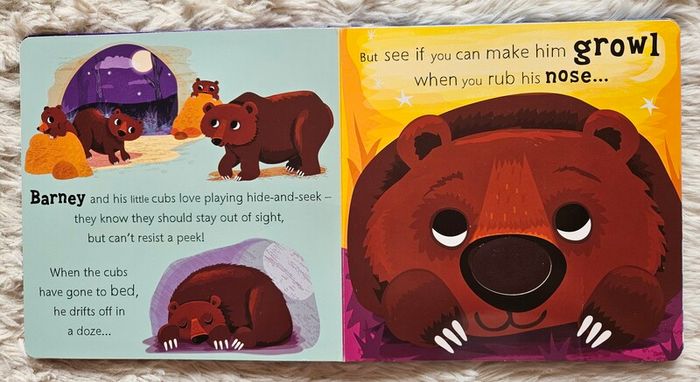 Owl Says Hoot - A Noisy Touch-and-Feel Night Book