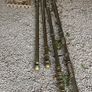 4 brass curtain poles and fittings, D18 Image 5