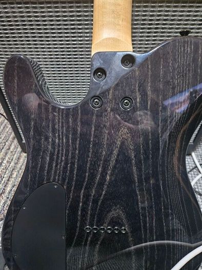 Kiesel Solo-6 Custom Burl Maple Top - Transparent Black