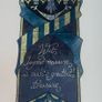 Harry Potter bundle Image 6