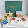 educational toys kiwiCo crates 12-24months Image 4
