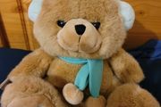 Radio FM Teddy Bear Player Metro Soft Toys Plush New