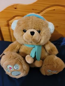 Radio FM Teddy Bear Player Metro Soft Toys Plush New