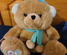 Radio FM Teddy Bear Player Metro Soft Toys Plush New