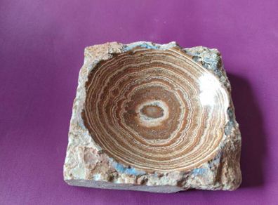 Argonite