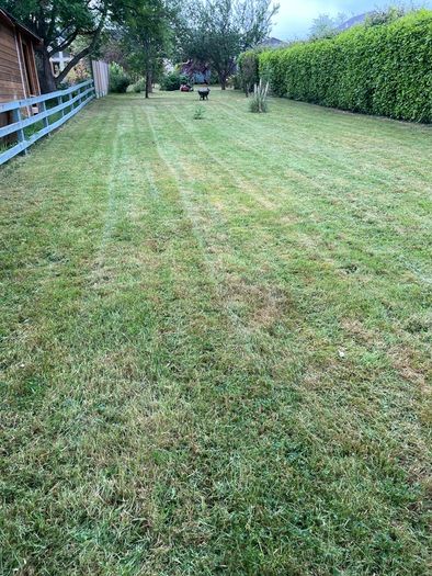 Grass Cutting & Garden Maintenance