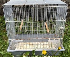 birds cages/canary