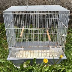 birds cages/canary